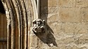 Oxford; Bodleian Library; reading angel on the facade