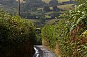 Dartmoor; very narrow roads ...